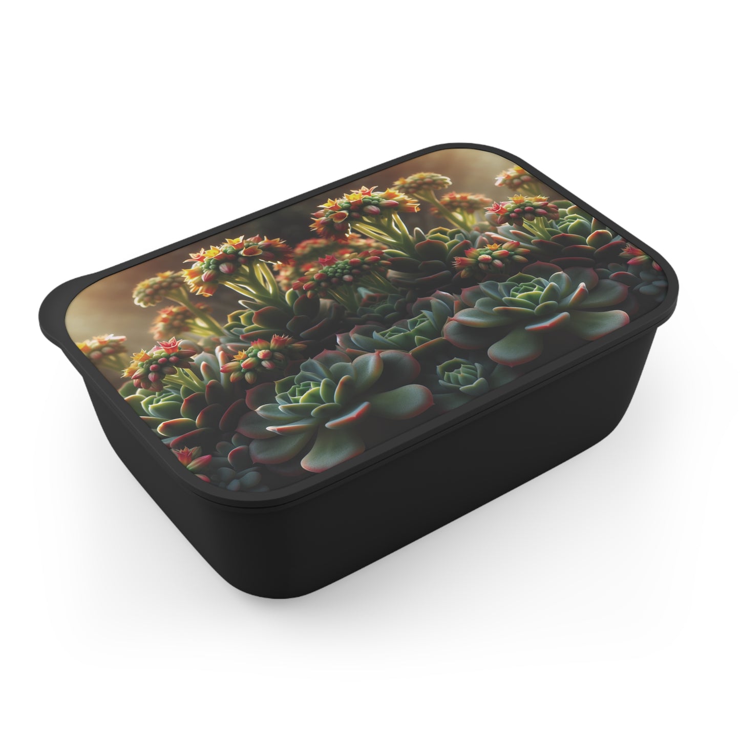Bento Box - Blooming Succulent Design, Eco friendly lunch box set