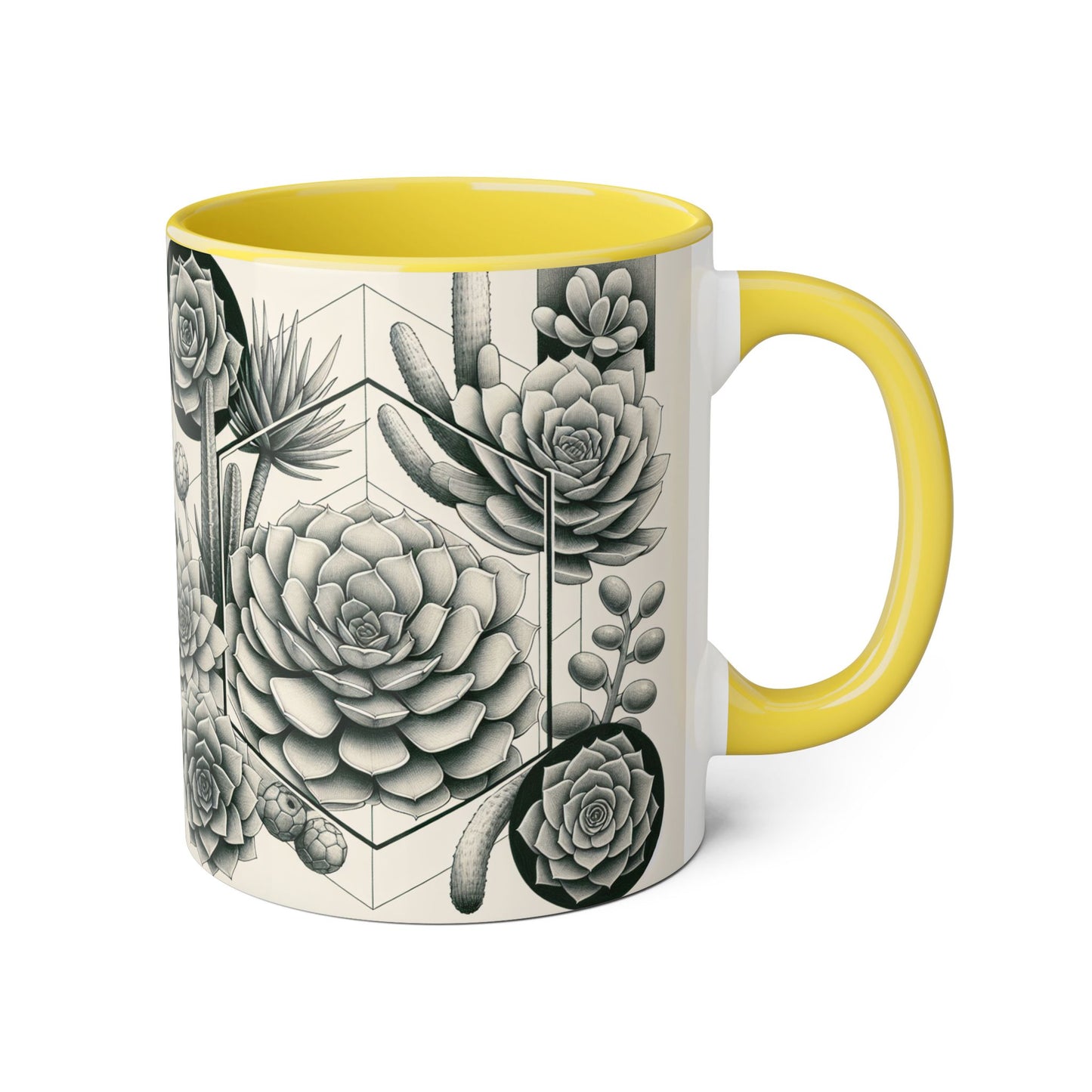 Succulent Illustration Accent Mug - 11oz - Perfect Gift for Plant Lovers