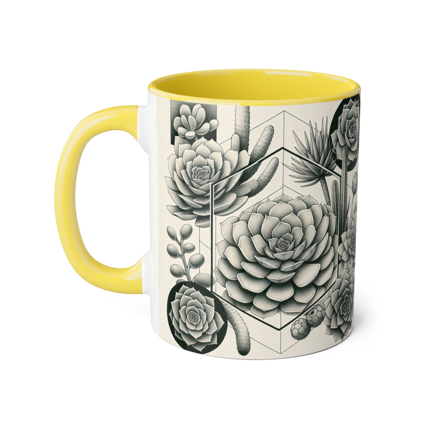 Succulent Illustration Accent Mug - 11oz - Perfect Gift for Plant Lovers
