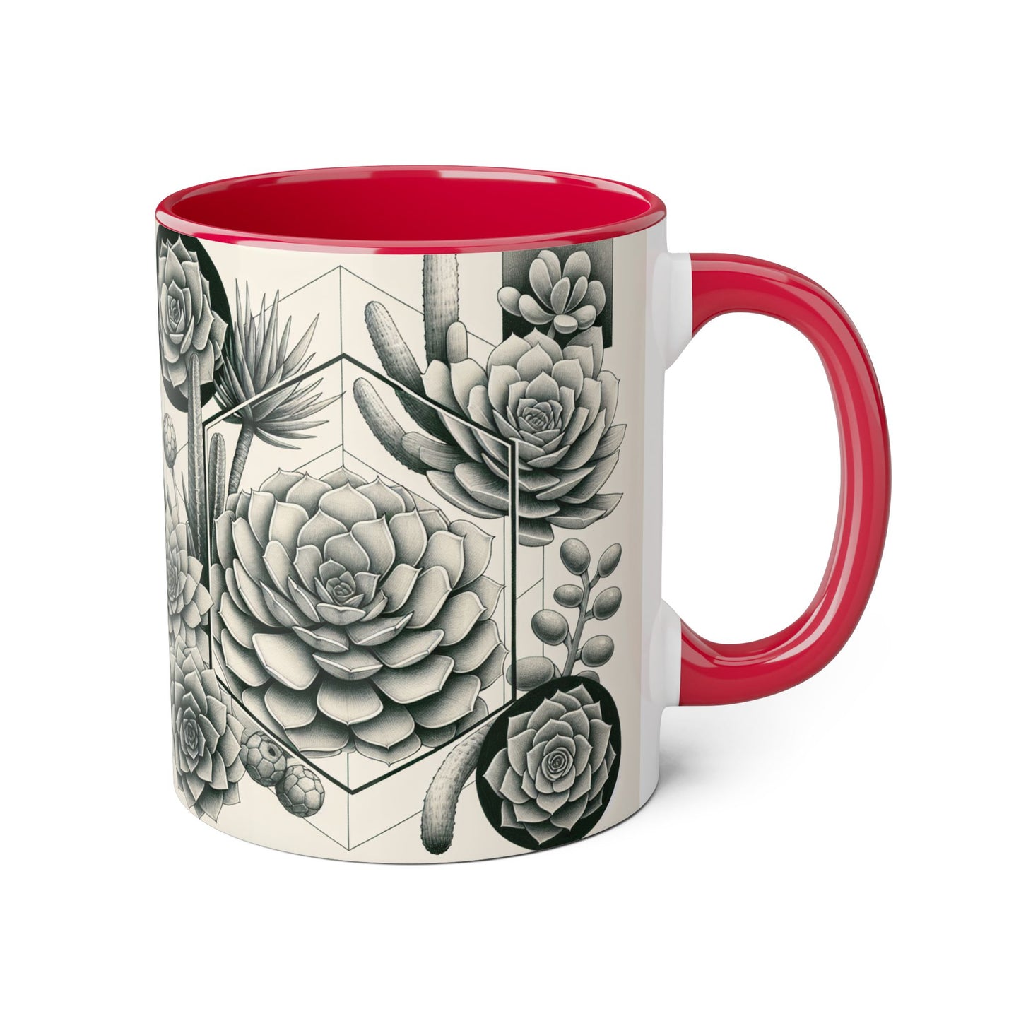 Succulent Illustration Accent Mug - 11oz - Perfect Gift for Plant Lovers