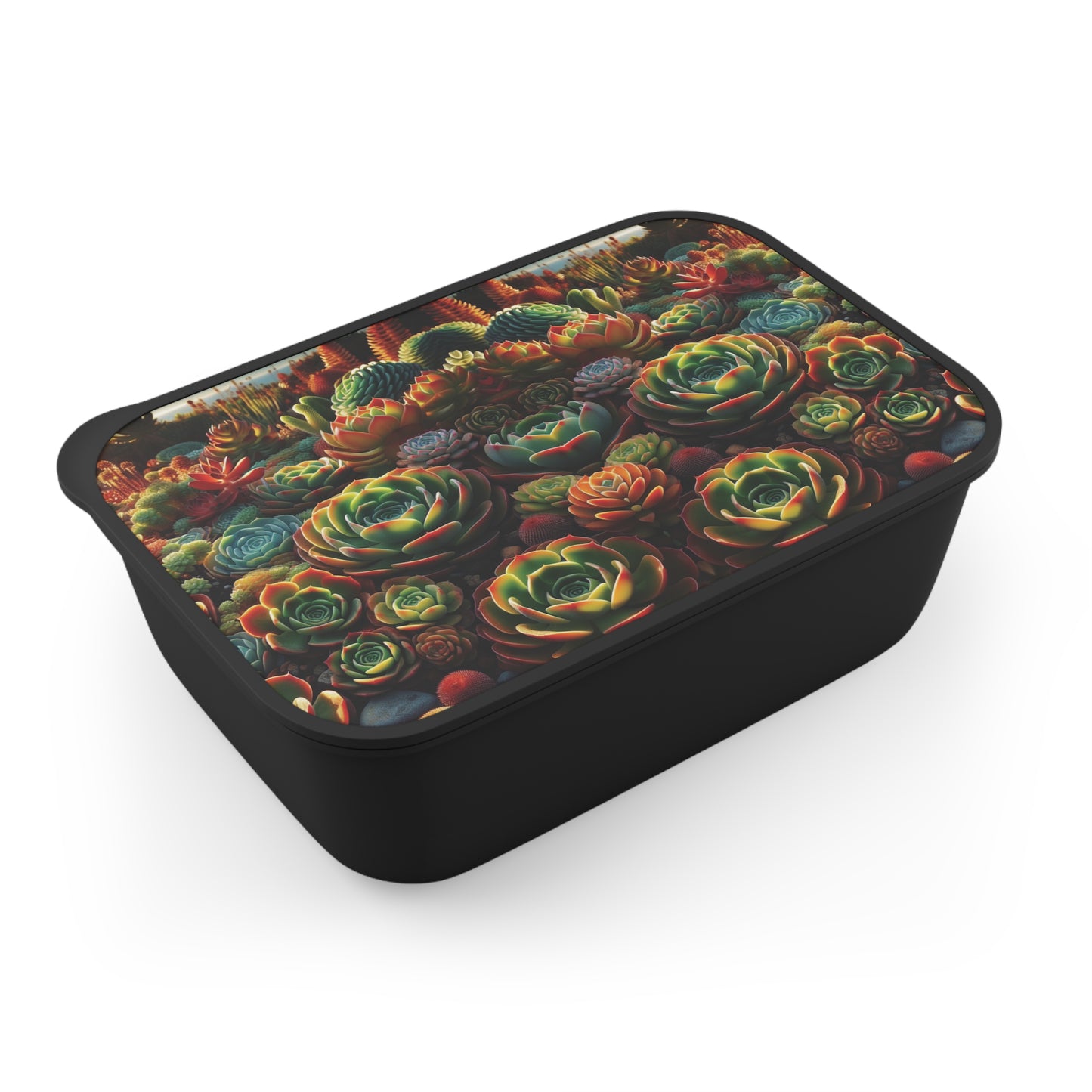 Bento Box - Succulent Family, Eco friendly lunch box set